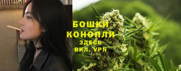 бошки Елизово
