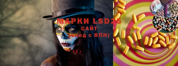 ГАЛЛЮЦИНОГЕННЫЕ ГРИБЫ Заводоуковск