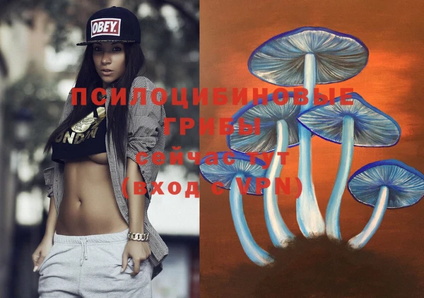 бошки Елизово