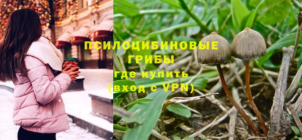 не бодяженный Ельня