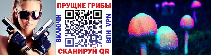 дарнет шоп  Назрань  Псилоцибиновые грибы мухоморы 